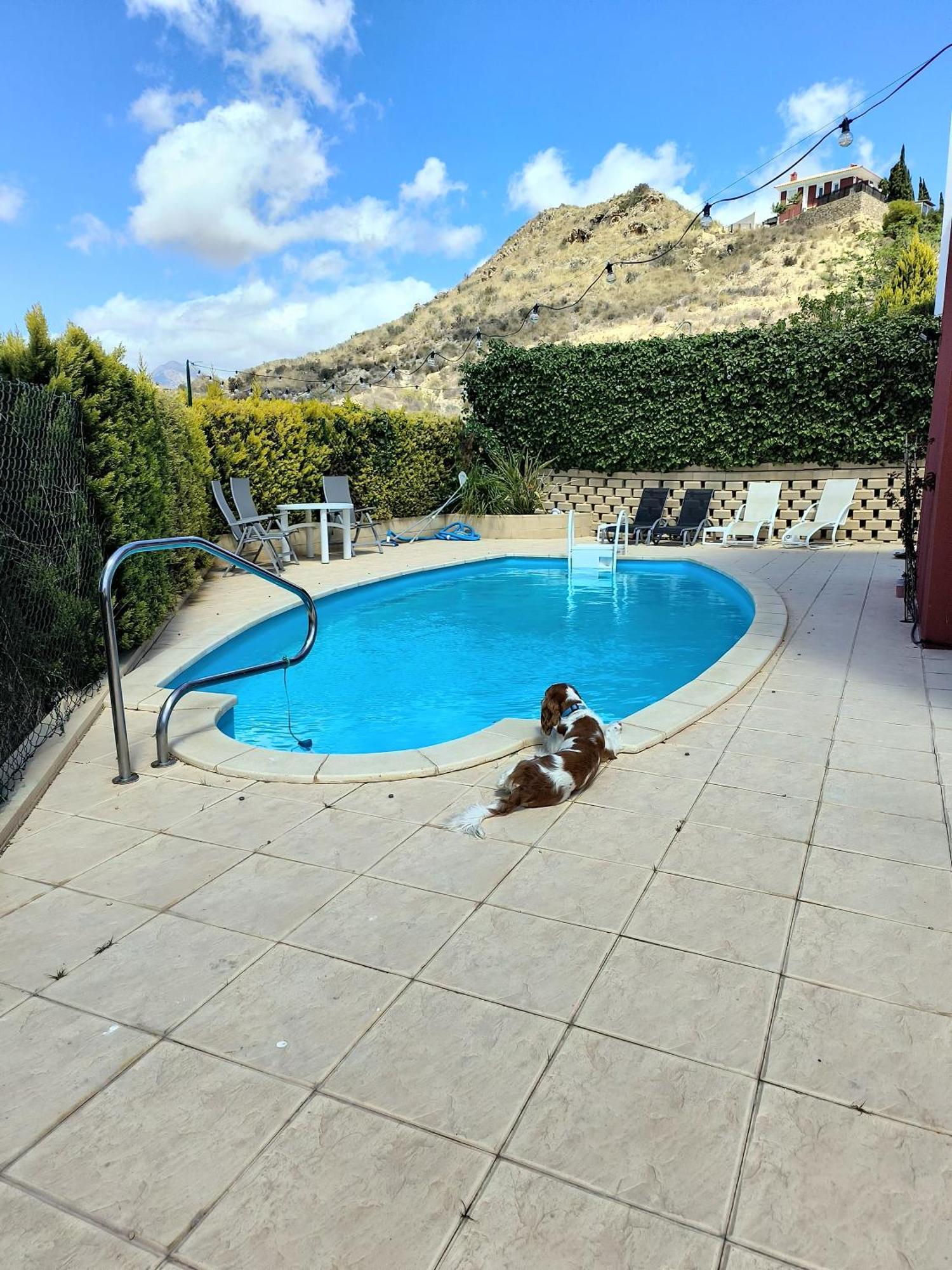 Villa Alicante - Bonalba Golf Mutxamel Zewnętrze zdjęcie